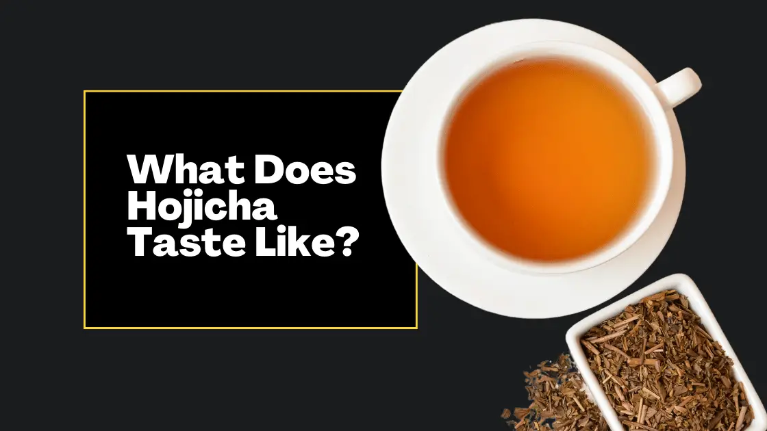 What Does Hojicha Taste Like? Full Flavor Guide | Luckee Tea